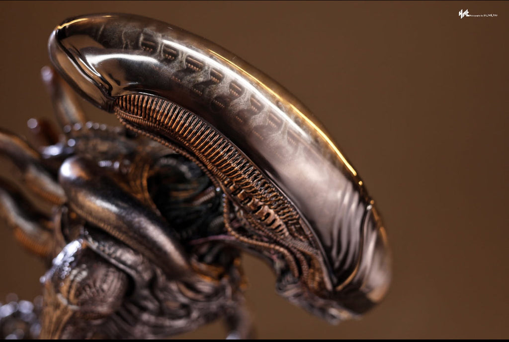 READY🔥Hot Toys MMS784 Alien: Romulus 1/6th scale Scorched Xenomorph Collectible Figure