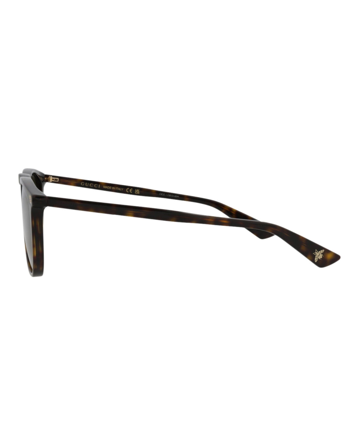 Round-Frame Acetate Sunglasses