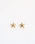 14k Gold Starfish Stud Earrings