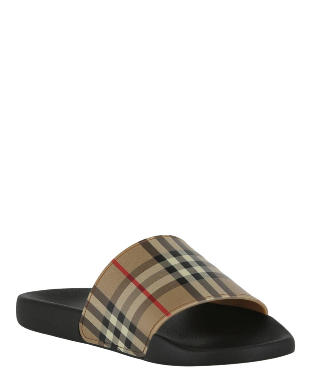 Check Print Slides