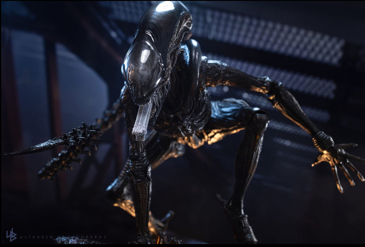 READY🔥Hot Toys MMS784 Alien: Romulus 1/6th scale Scorched Xenomorph Collectible Figure