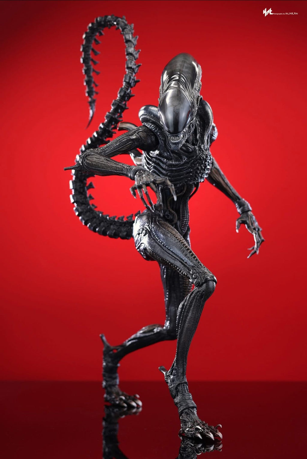 READY🔥Hot Toys MMS784 Alien: Romulus 1/6th scale Scorched Xenomorph Collectible Figure