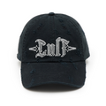 Cult's Dad Hat