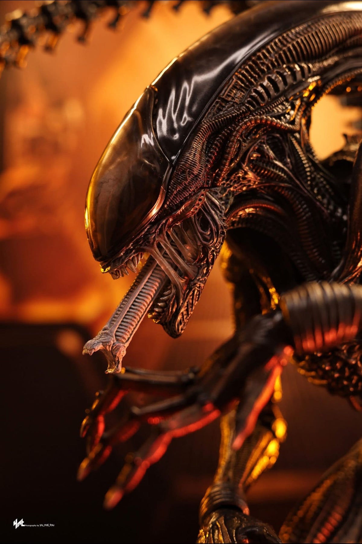 READY🔥Hot Toys MMS784 Alien: Romulus 1/6th scale Scorched Xenomorph Collectible Figure