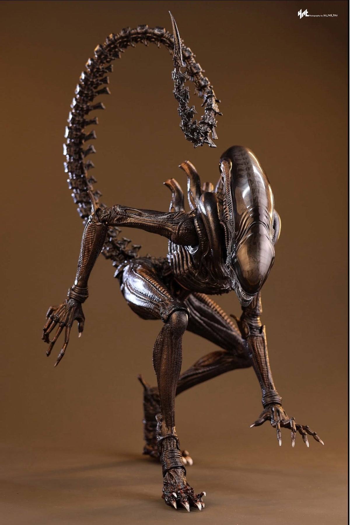 READY🔥Hot Toys MMS784 Alien: Romulus 1/6th scale Scorched Xenomorph Collectible Figure