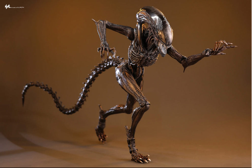 READY🔥Hot Toys MMS784 Alien: Romulus 1/6th scale Scorched Xenomorph Collectible Figure
