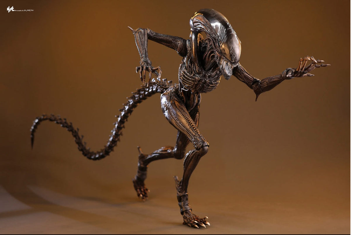 READY🔥Hot Toys MMS784 Alien: Romulus 1/6th scale Scorched Xenomorph Collectible Figure