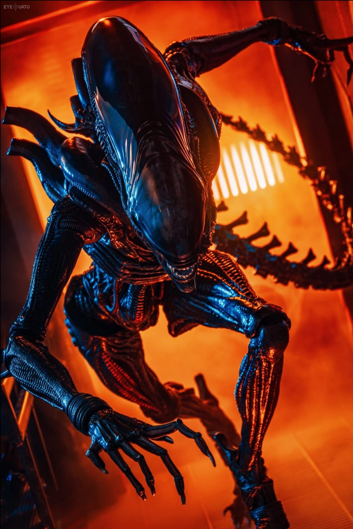 READY🔥Hot Toys MMS784 Alien: Romulus 1/6th scale Scorched Xenomorph Collectible Figure
