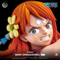 One Piece: Nami (Onigashima) Ikigai