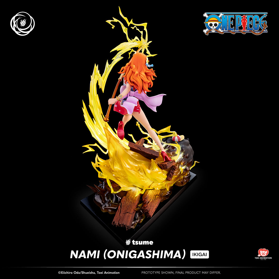 One Piece: Nami (Onigashima) Ikigai