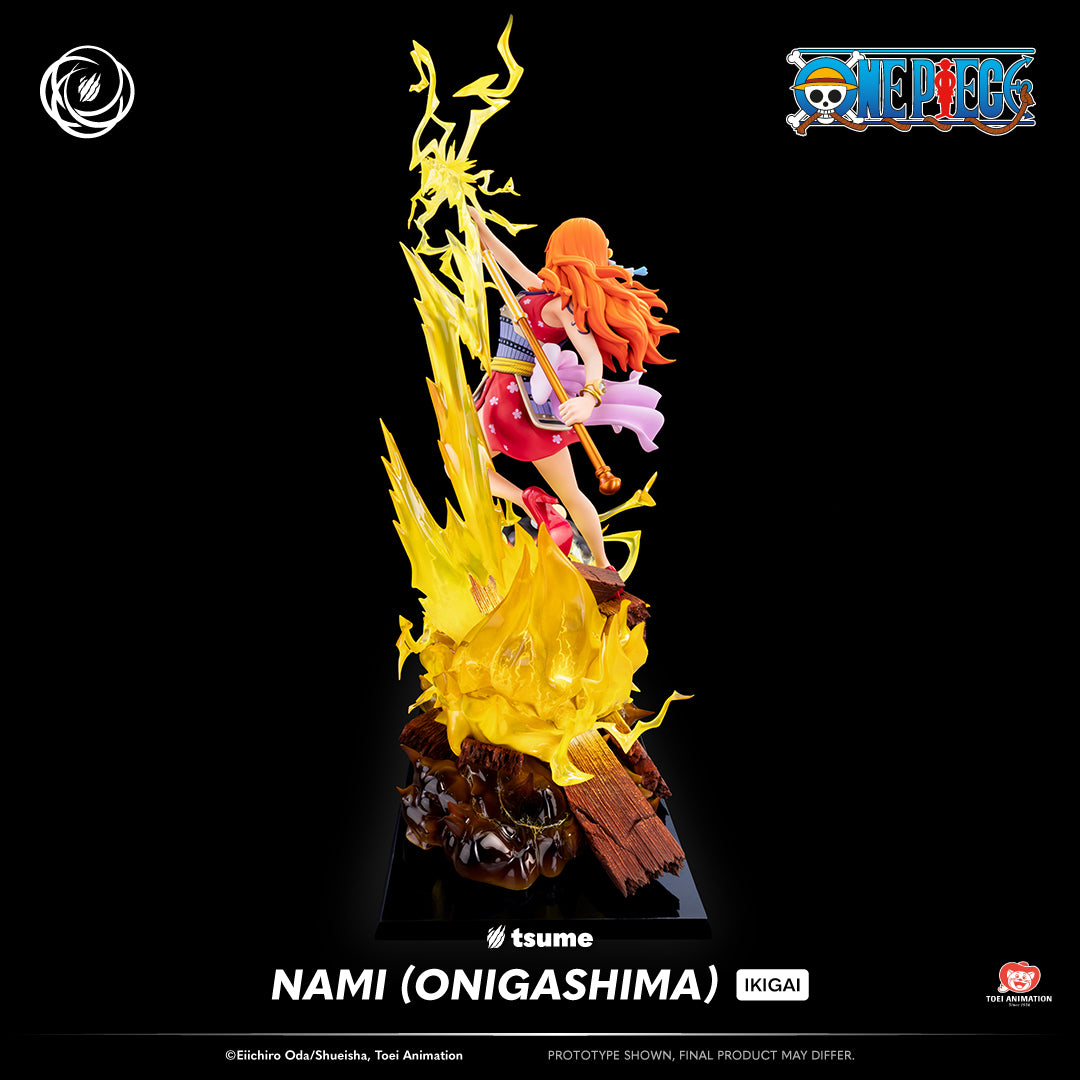 One Piece: Nami (Onigashima) Ikigai