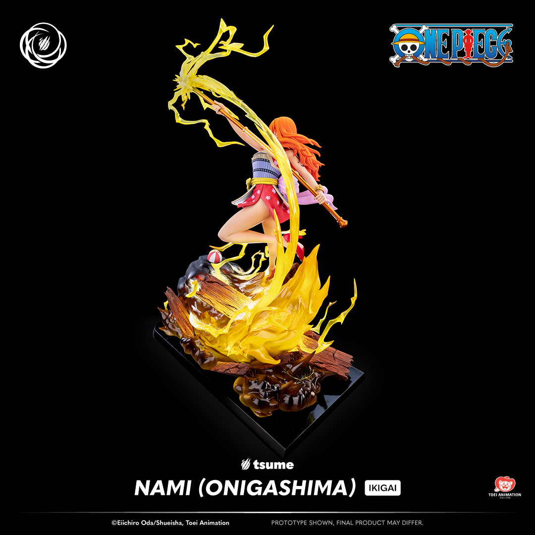 One Piece: Nami (Onigashima) Ikigai