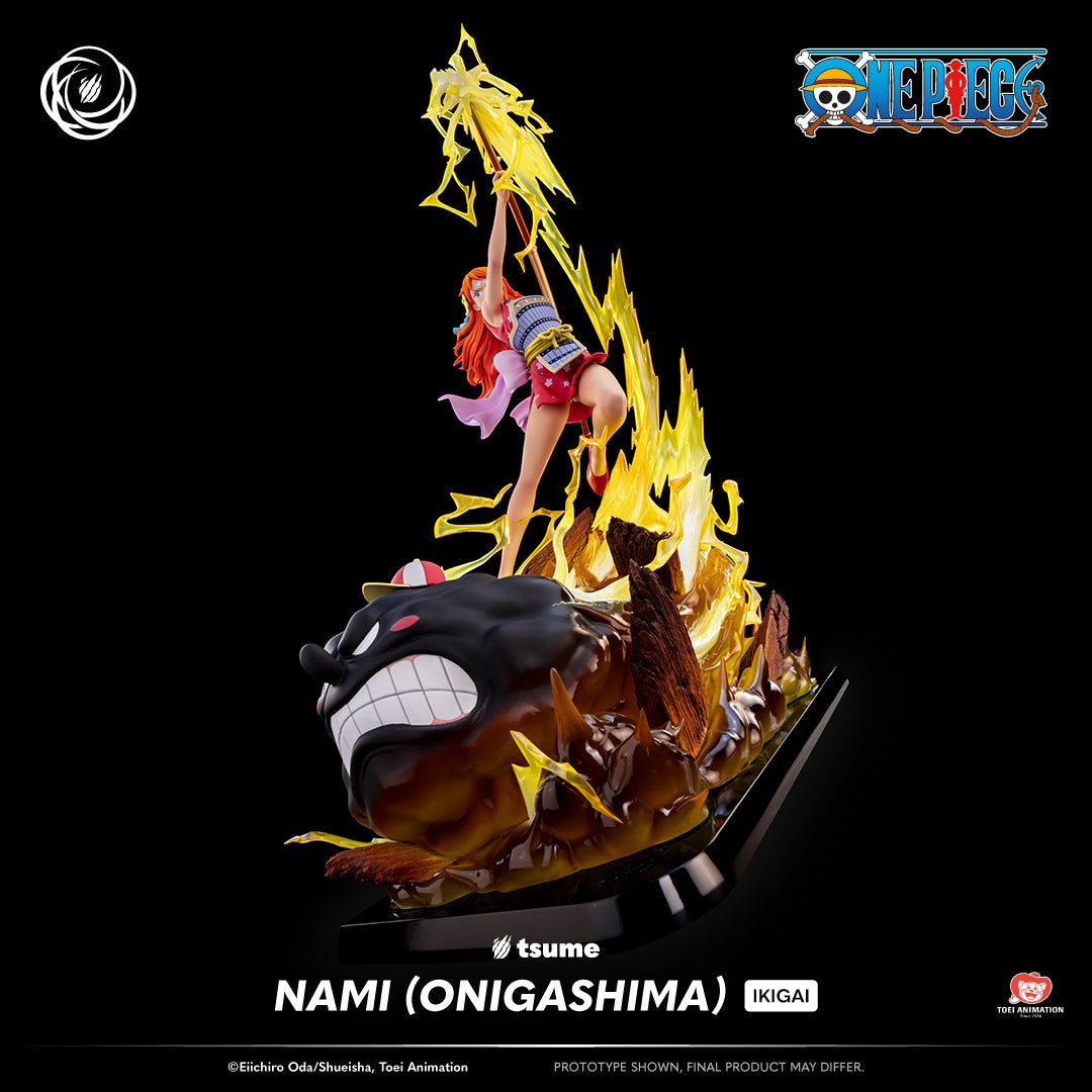 One Piece: Nami (Onigashima) Ikigai