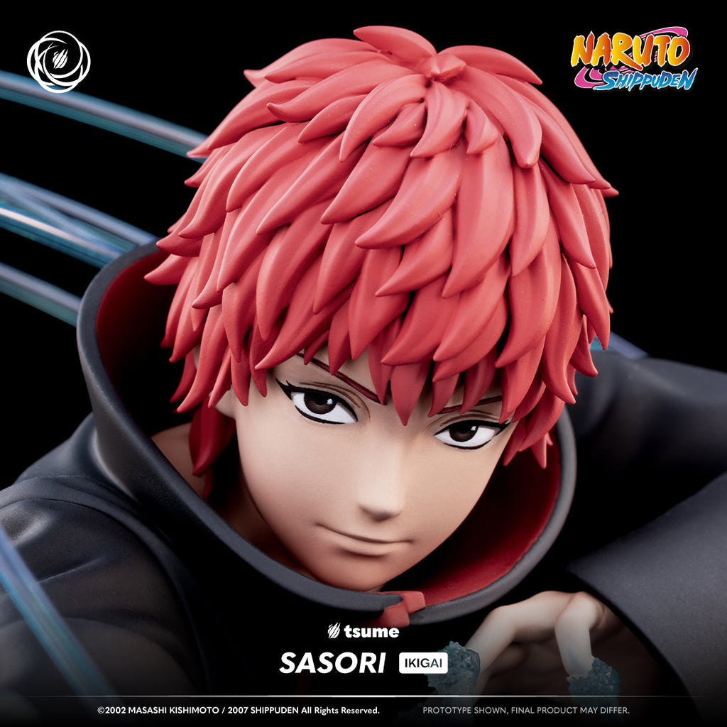 Naruto Shippuden: Sasori of the Akatsuki Ikigai