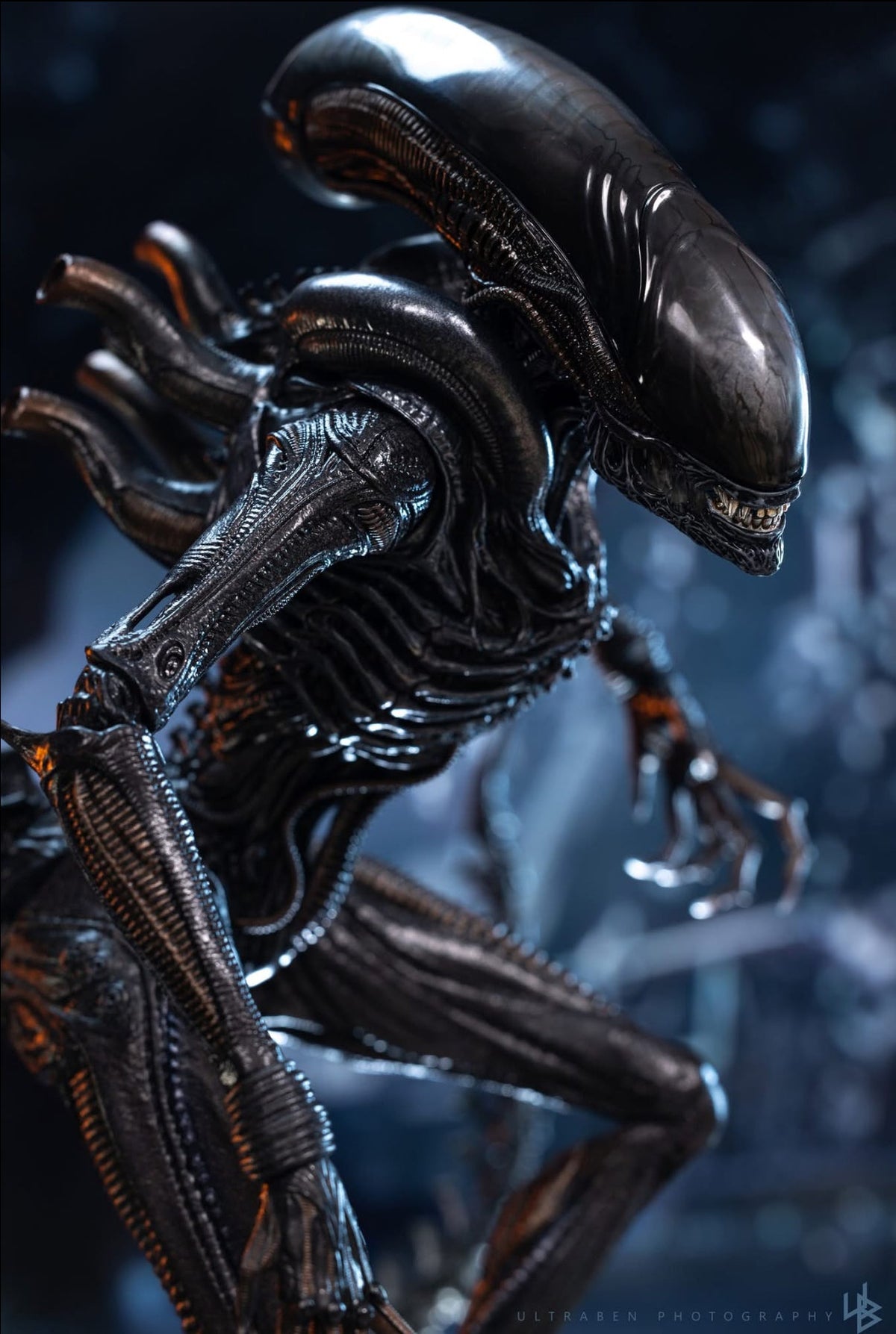 READY🔥Hot Toys MMS784 Alien: Romulus 1/6th scale Scorched Xenomorph Collectible Figure