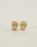 14k Gold Shell Earrings
