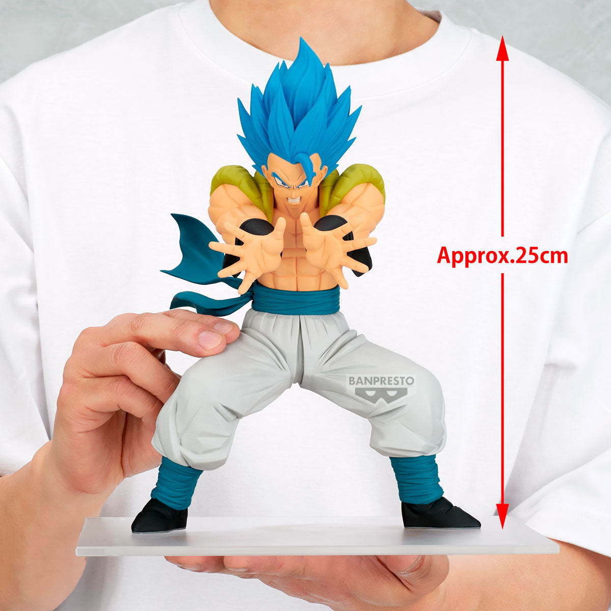 Dragon Ball Super Grandista - Gogeta II