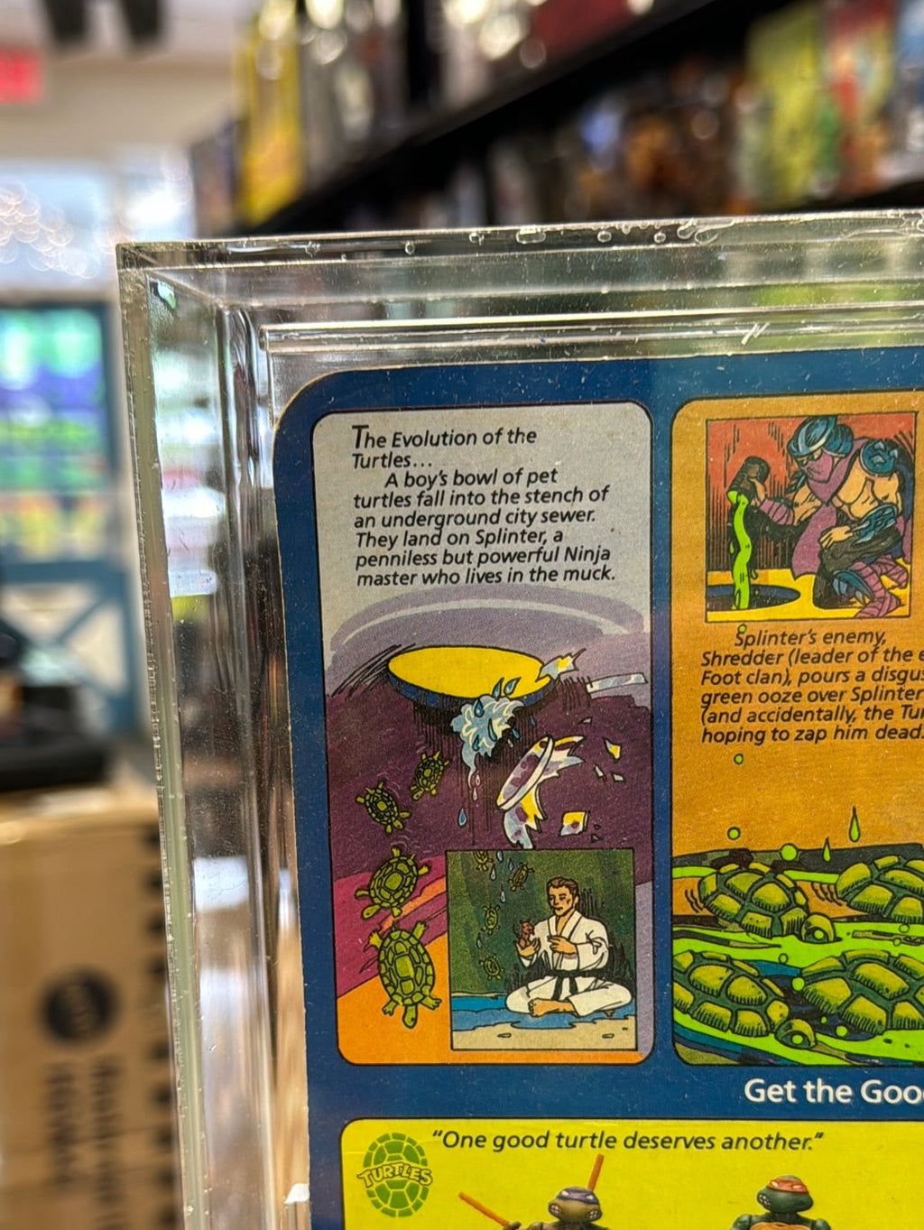 April O’Neil 10 Back No Press (Vintage TMNT Ninja Turtles, Playmates) *CAS Graded 80*