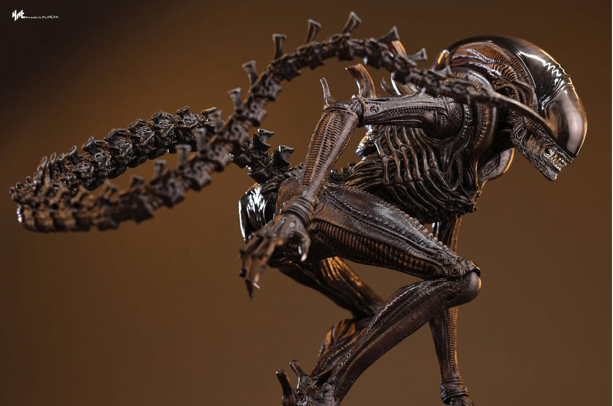 READY🔥Hot Toys MMS784 Alien: Romulus 1/6th scale Scorched Xenomorph Collectible Figure