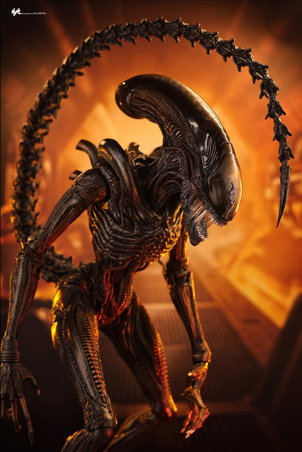 READY🔥Hot Toys MMS784 Alien: Romulus 1/6th scale Scorched Xenomorph Collectible Figure