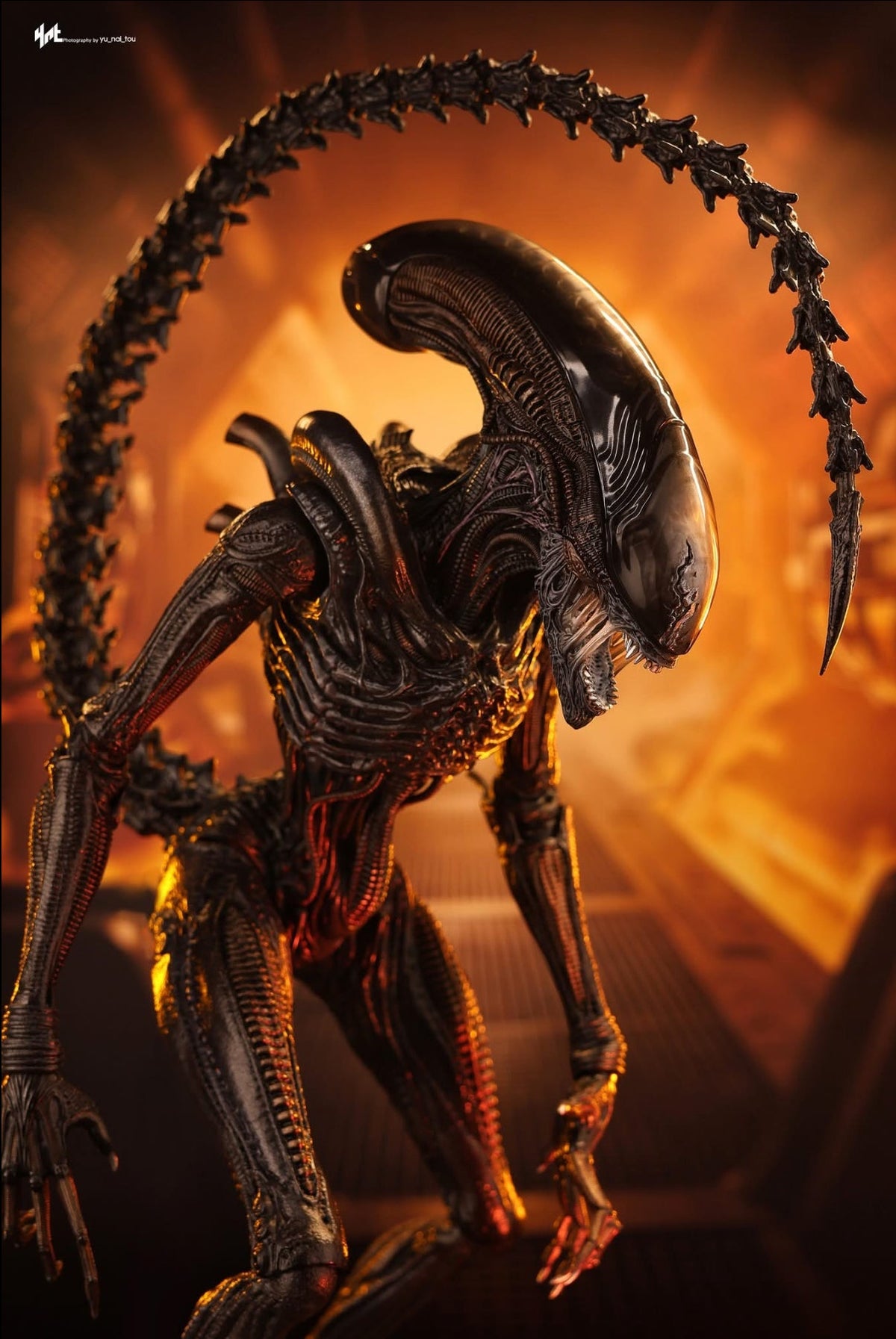 READY🔥Hot Toys MMS784 Alien: Romulus 1/6th scale Scorched Xenomorph Collectible Figure