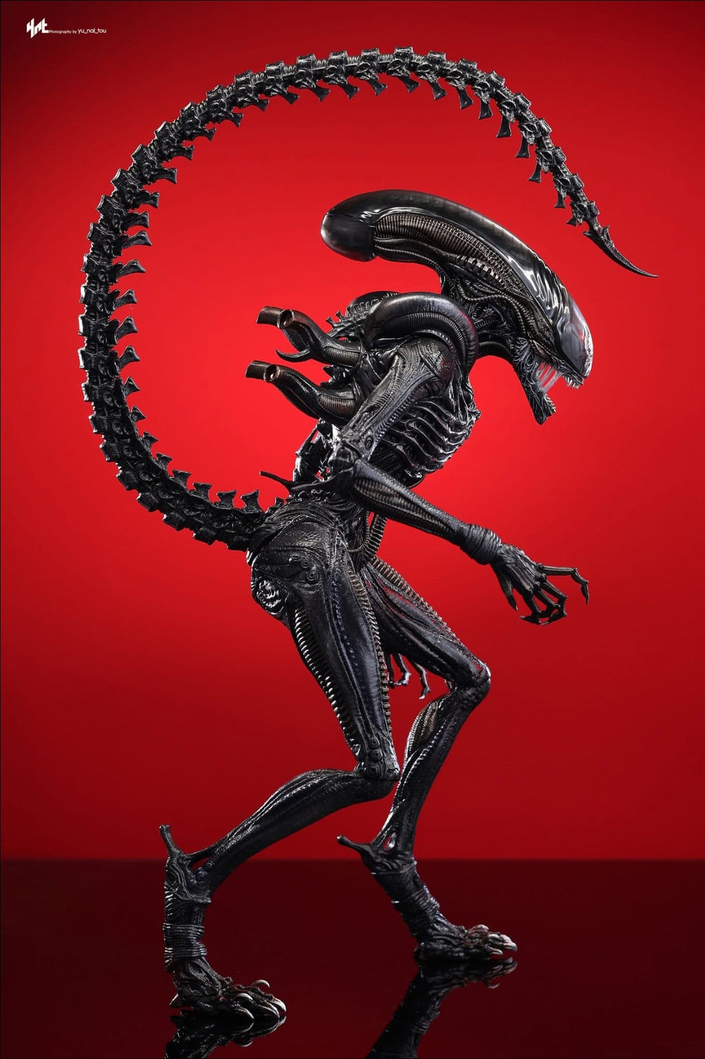 READY🔥Hot Toys MMS784 Alien: Romulus 1/6th scale Scorched Xenomorph Collectible Figure