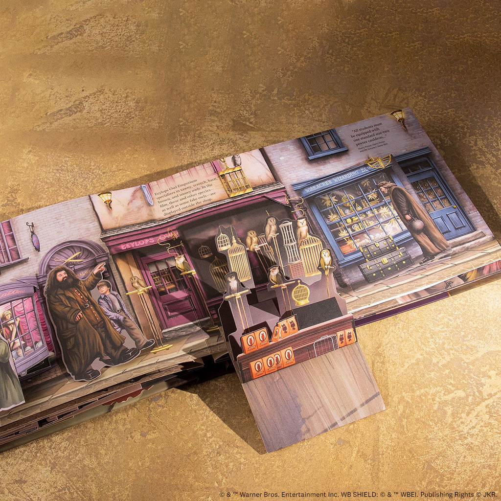 Harry Potter: Diagon Alley Pop-Up Book