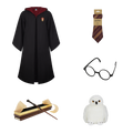 Harry Potter Halloween Set
