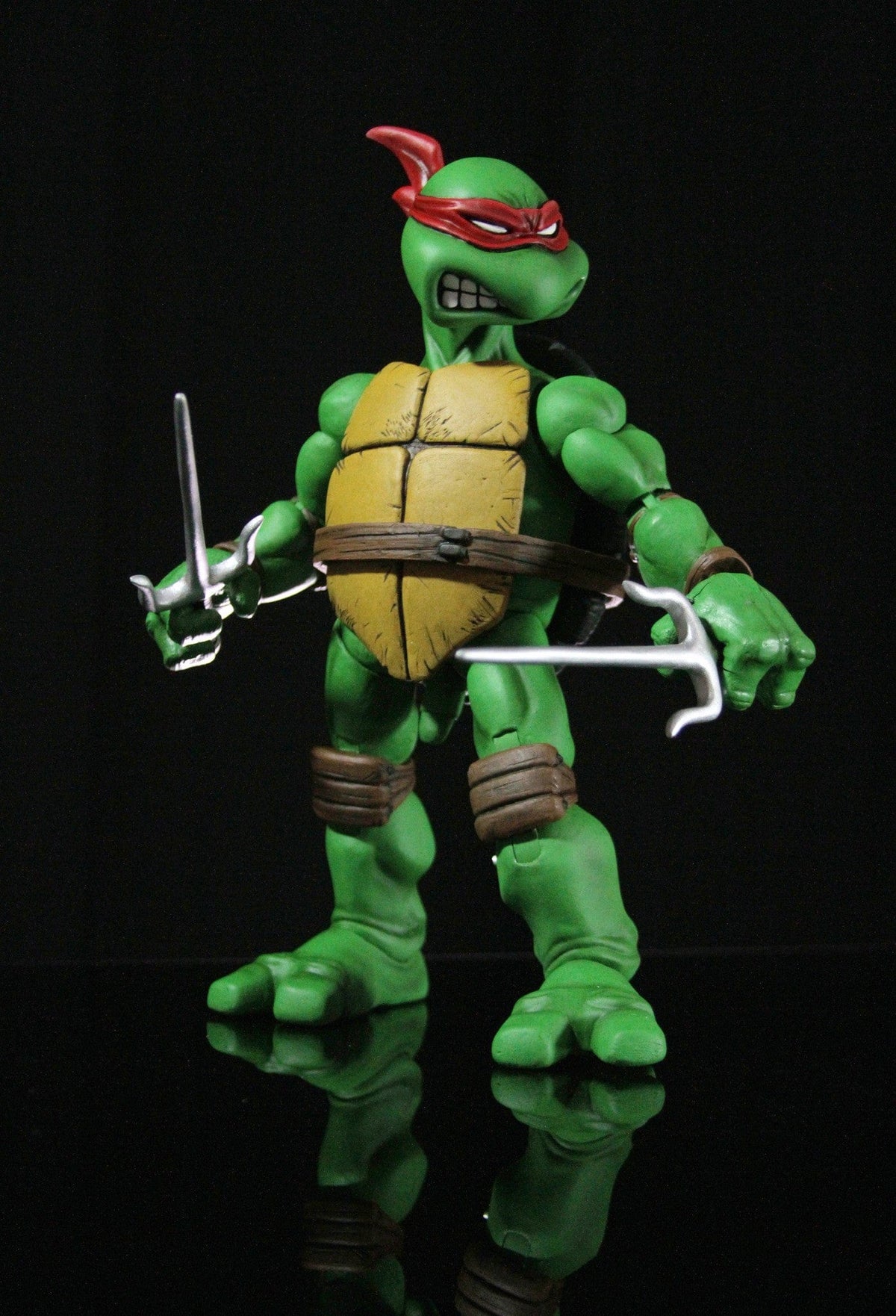 Raphael 1/6 Scale Collectible Figure Exclusive