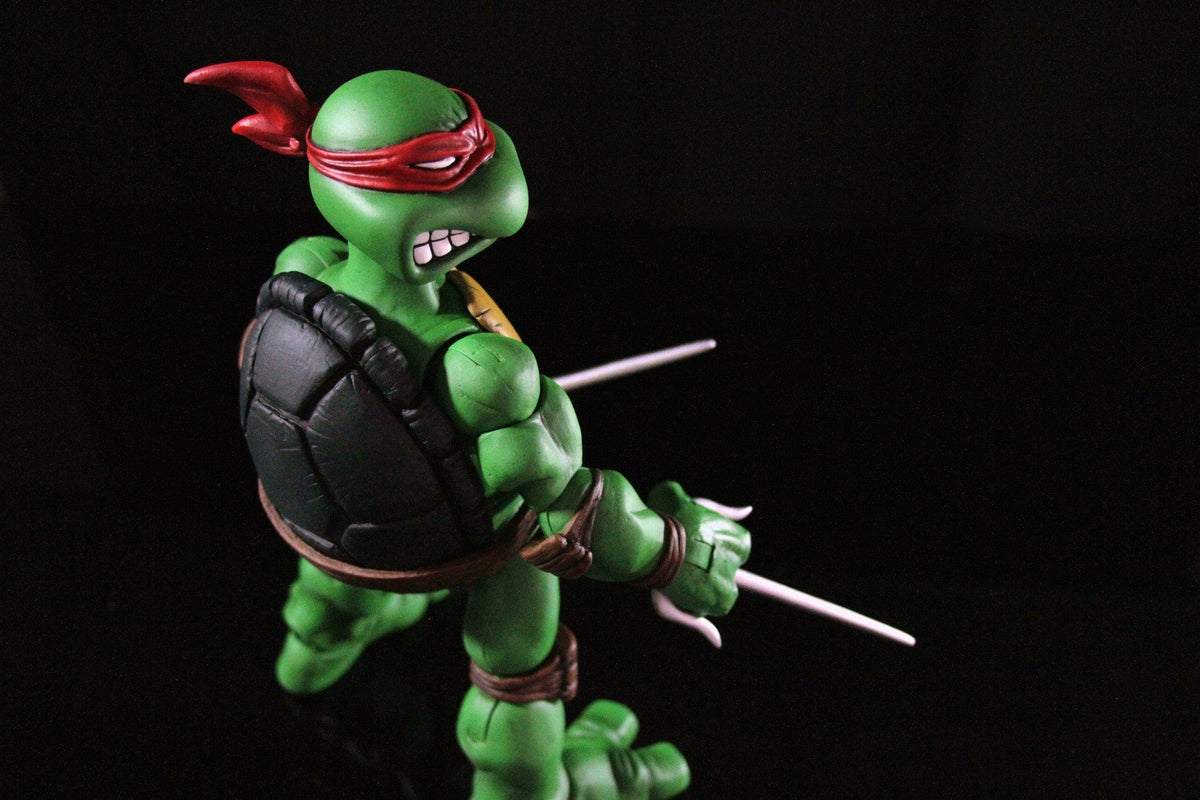 Raphael 1/6 Scale Collectible Figure