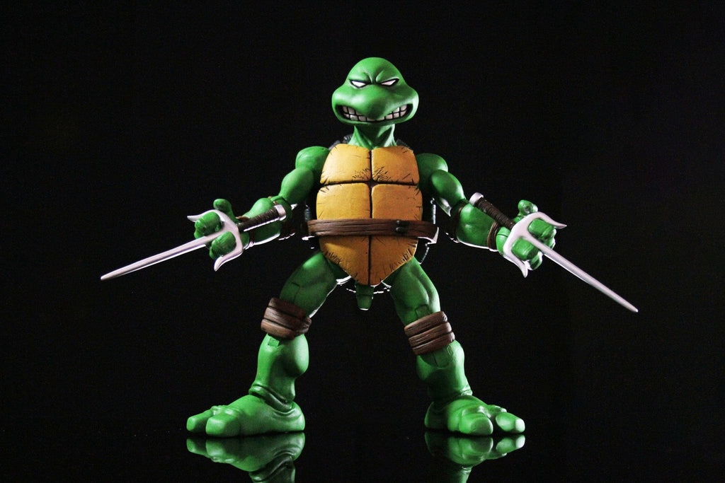 Raphael 1/6 Scale Collectible Figure