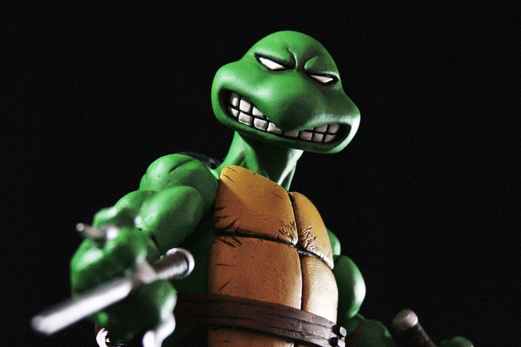 Raphael 1/6 Scale Collectible Figure