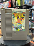 Bayou Billy (Nintendo NES, Vintage Video Game)