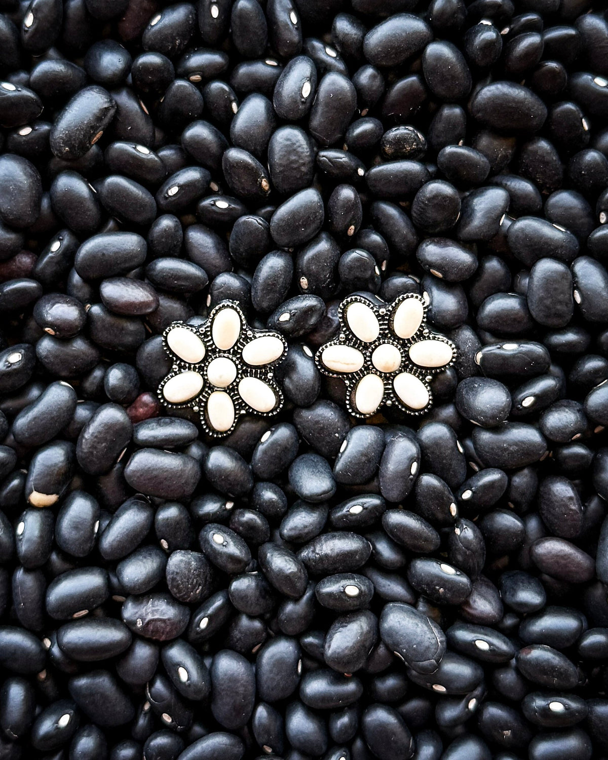Desert Daisy Fashion Stud Earrings in White