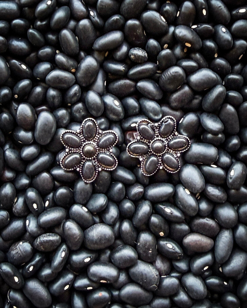 Desert Daisy Fashion Stud Earrings in Black