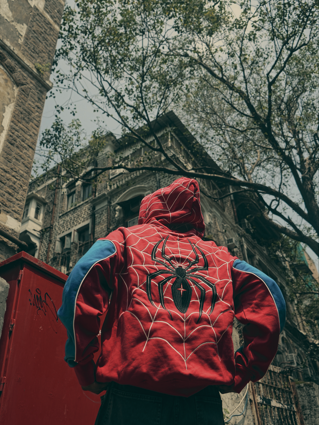 ALIAS × SPIDEY JUNKY — Origin Hoodie