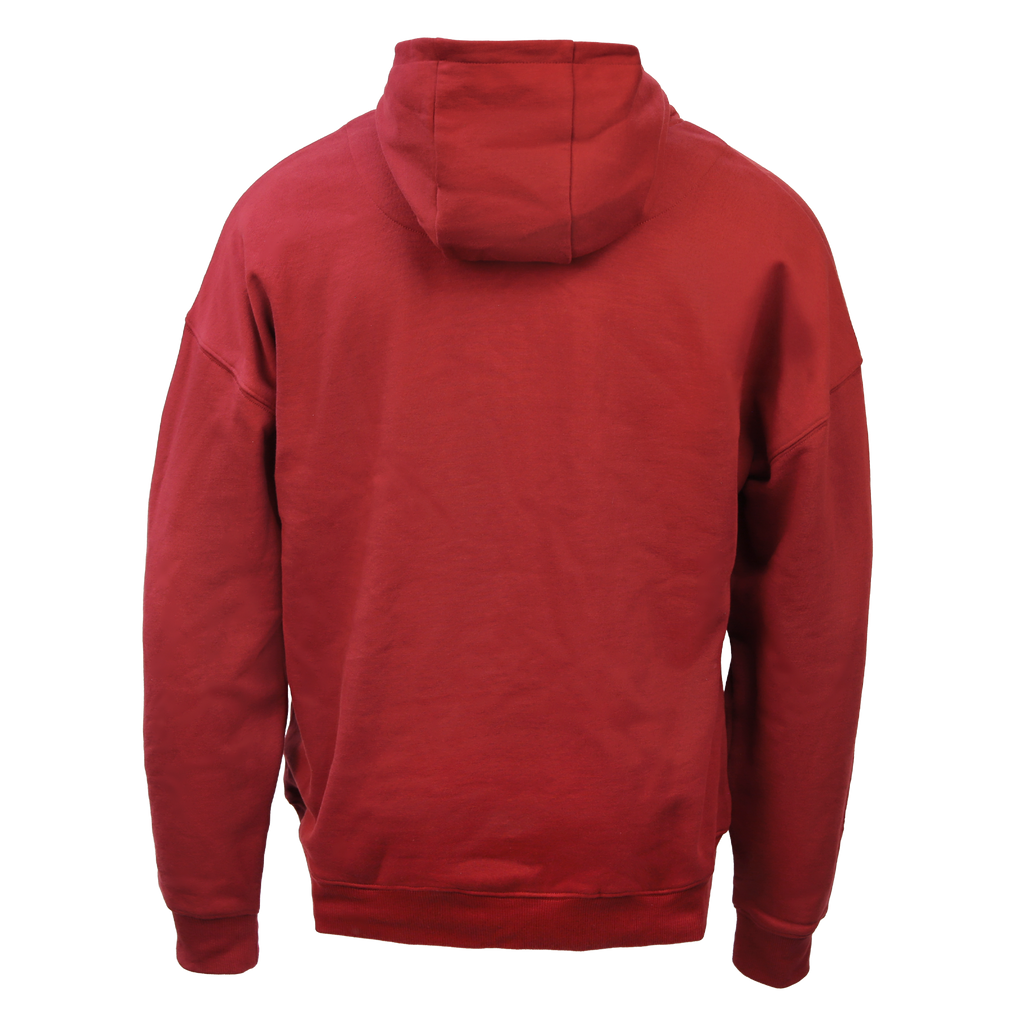 House Mascot Gryffindor Hoodie