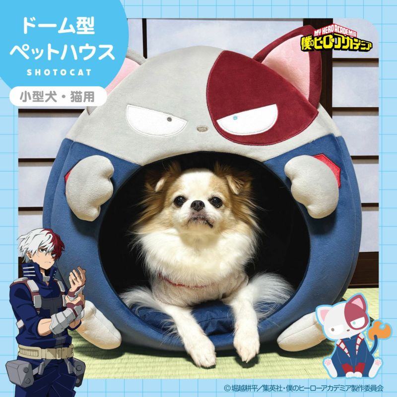 My Hero Academia Shobido - Pet House Short Cat