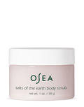 Free Deluxe Sample - Salts of the Earth Body Scrub Travel Size