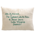 Acceptance Letter Cushion