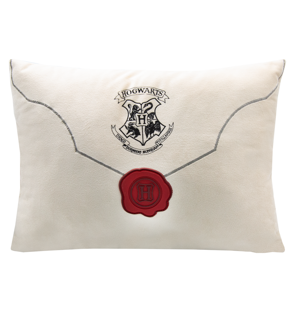 Acceptance Letter Cushion
