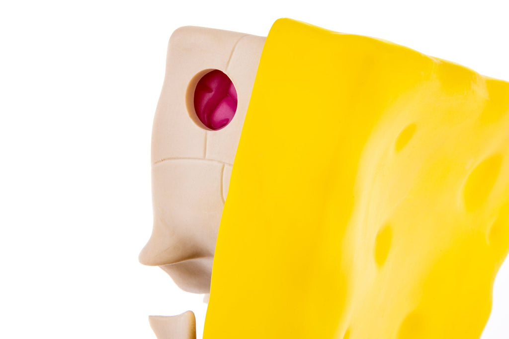 Spongebob Squarepants Dissected Vinyl Figure