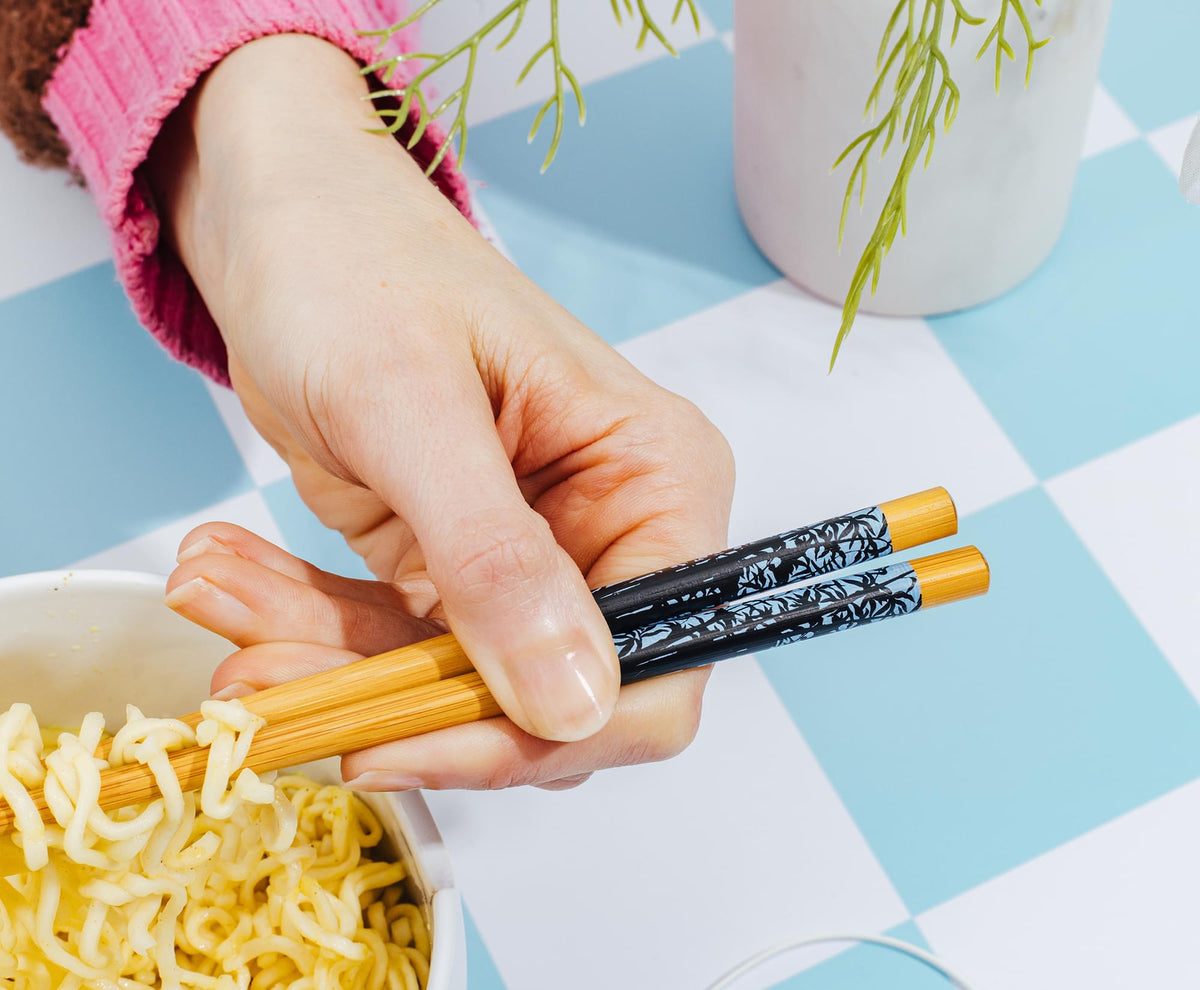 Avatar: The Last Airbender Aang and Appa Ceramic Ramen Bowl and Chopstick Set