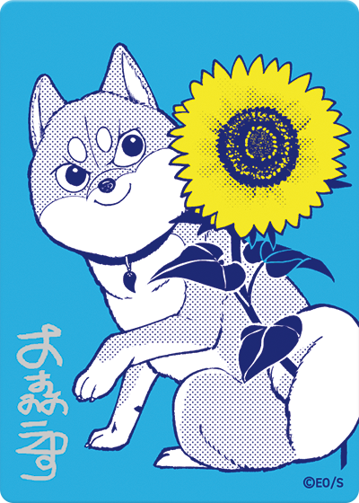 [Special Bundle] Natsucomi 2026 Metallic Card Complete Set Of 22 Cards