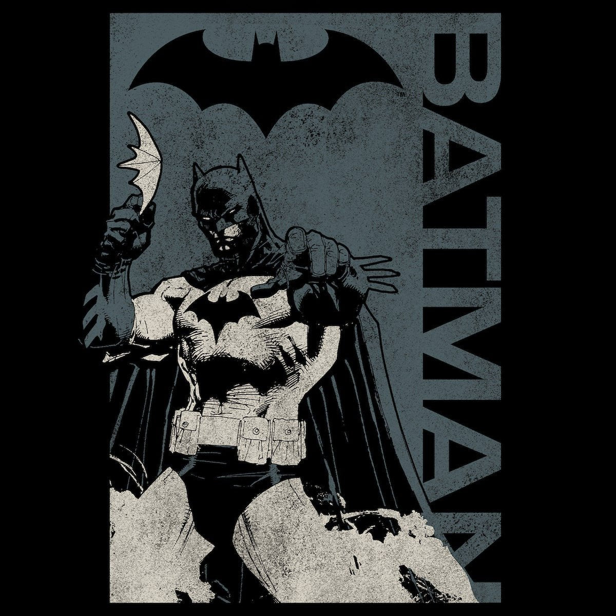 Batman Heavyweight Boxy Tee