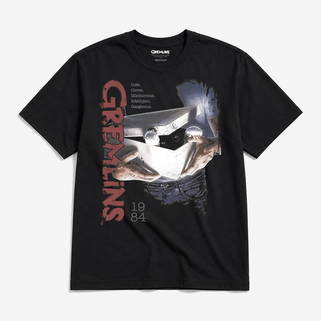 Boxed Up Gizmo Heavyweight Boxy Tee