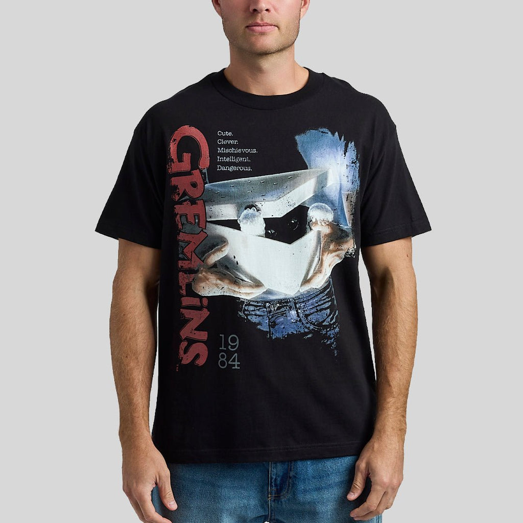 Boxed Up Gizmo Heavyweight Boxy Tee