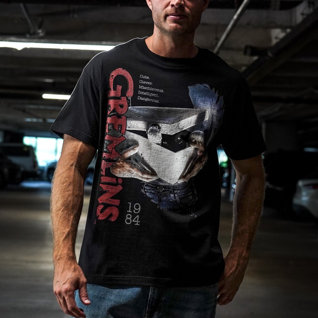 Boxed Up Gizmo Heavyweight Boxy Tee