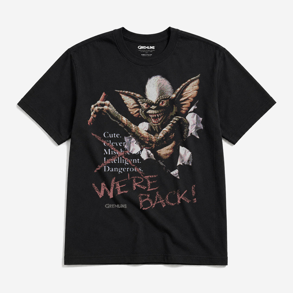 Stripe Chaos Poster Heavyweight Boxy Tee
