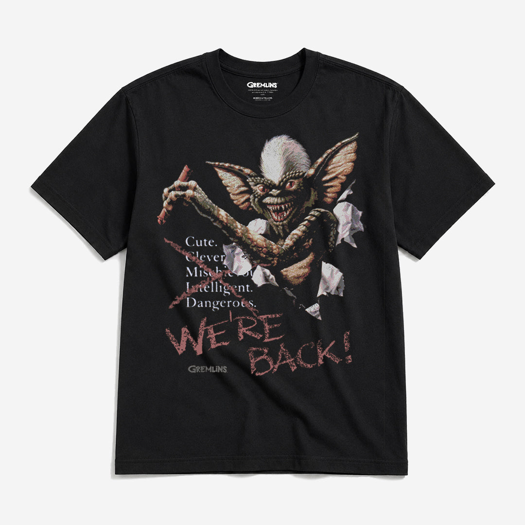 Stripe Chaos Poster Heavyweight Boxy Tee